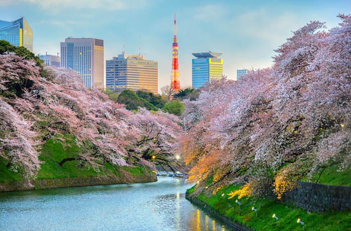 Tokyo Tower set fra Chidorigafuchi Park - Japan