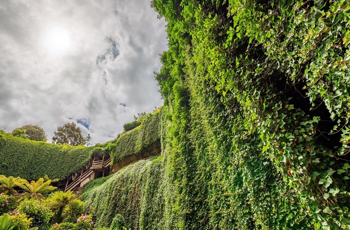 Umpherston Sinkhole, nedsunket kalkstenshule i Mount Gambier South Australia