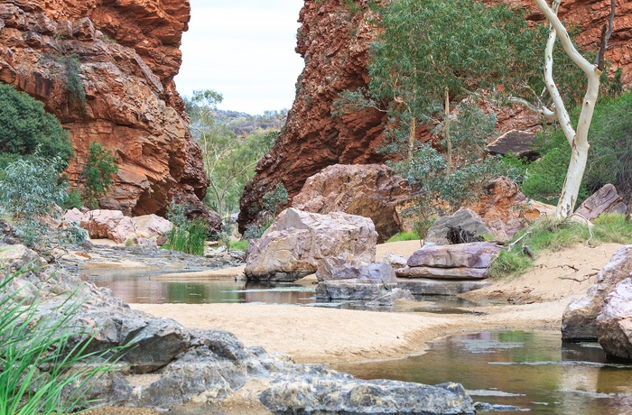  Vandkilde ved Simpsons Gap, West MacDonnell Ranges - NT i Australien