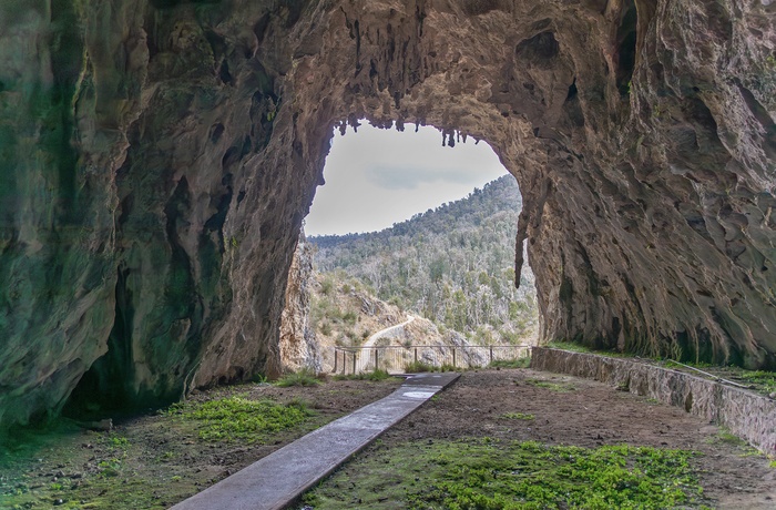 Yarrangobilly Caves i Snowy Mountains, New South Wales i Australien