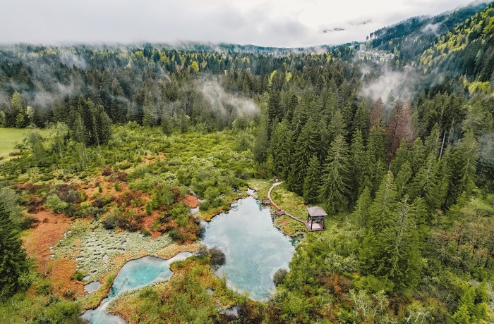 Luftfoto af Zelenci Naturreservat i Slovenien