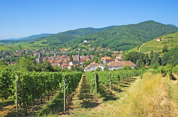 Rejser Til Alsace | FDM Travel