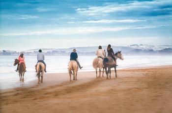 På ridetur på strand ved Apollo Bay, Victoria i Australien