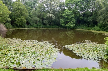 Belgien, Ypres -det minesprængte Lone Tree Crater også kendt som Pool of Peace,