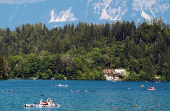 Badende i Bledsøen på en sommerdag, Slovenien