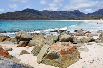 Wineglass Bay i Freycinet National Park på Tasmanien