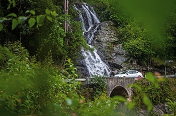 Bil på Water Falls Way gennem Dorrigo National Park, New South Wales