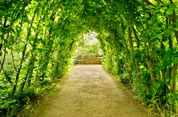 England, Gloucestershire, Cotswolds - buegang af hassel i Hidcote Garden 