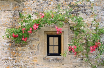 England, Gloucestershire, Cotswolds, Bibury - mere idyl i Cotswolds bliver det ikke