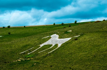 England, Wiltshire - hesten ved Alton Barnes 