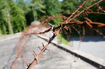 Frankrig, Schoenenburg - rusten pigtråd giver minder om beskyttelsen af Maginot Linjen, Alsace