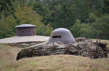 Frankrig, Verdun - kanonbatterier