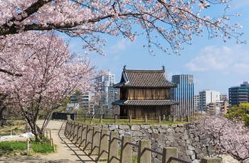 Fukuoka slotsruin i Maizuru Park, Fukuoka i Japan