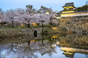 Fukuoka slotsruin i Maizuru Park, Fukuoka i Japan