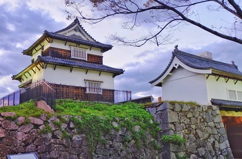 Fukuoka slotsruin i Maizuru Park, Fukuoka i Japan