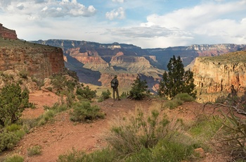 Turist nyder udsigten i Grand Canyon - Foto Sheelah Brennan Unsplash