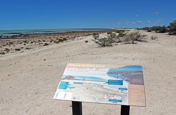 Skilt der fortæller om Hamelin Bay i Western Australia