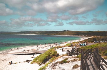 Stranden med turister i Hamelin Bay i Western Australia