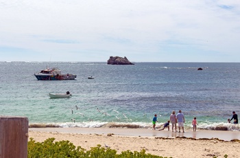 Stranden med turister i Hamelin Bay i Western Australia