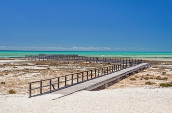 Hamelin Pool Marine Nature Reserve – Western Australia