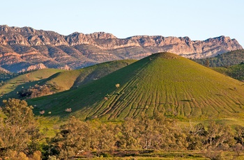 Ikara Flinders Ranges National Park, South Australia