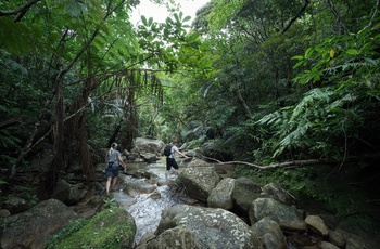 Ungt par på vandring gennem tropisk skov på Ishigaki øen, Okinawa i Japan