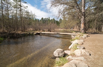 Den første lille bro over Mississippi-floden i Itasca State Park, Minnesota