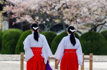 Kvindelige munke i Izumo Taisha-helligdommen - sydlige Japan