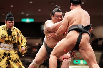 Sumobrydning i Japan