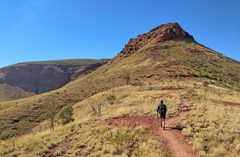 På vej mod Mount Bruce i Karijini National Park Mount Bruce, Western Australia