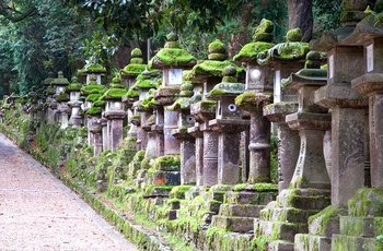 Stenlanterner som helligdommen Kasuga Taisha Shrine i Nara er kendt for, Japan