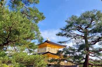 Kinkaku-ji - Den Gyldne Pavillon i Kyoto, Japan