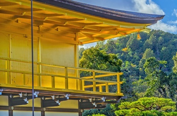 Tæt på Kinkaku-ji - Den Gyldne Pavillon i Koyto, Japan