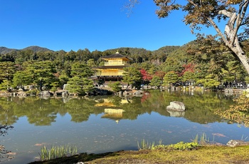 Kinkaku-ji - Den Gyldne Pavillon i Koyto, Japan