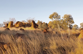 Kunjarra / The Pebbles i Northern Territory