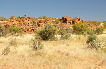 Kunjarra / The Pebbles i Northern Territory