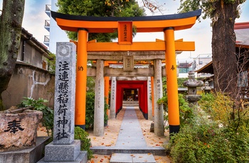 Torri-porte i Kushida helligdommen i Fukuoka - Japan AS