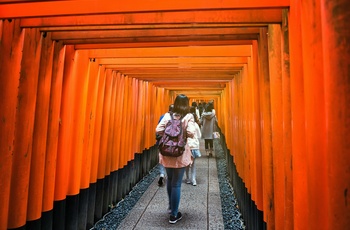 På vej gennem Fushimi Inari-helligdommen, Kyoto i Japan