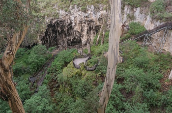 Sti og trapper ned til Lake Cave i Western Australia