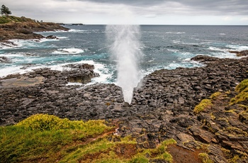 Little Blowhole tæt på Kiama - New South Wales, Australien