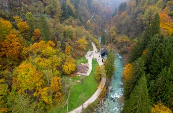 luftfoto af skov og lille flod i Logar-dalen om efteråret, Slovenien