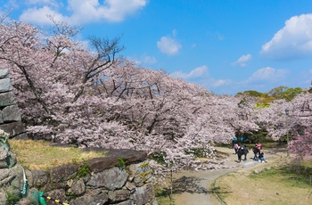 Maizuru Park, Fukuoka i Japan