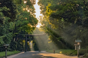 På vej til helligdommen Meiji Shrine i Tokyo