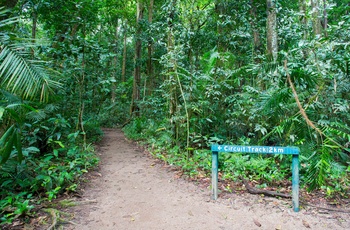 Skilt til Circut Track ved Mossman Gorge i Daintree National Park, Queensland