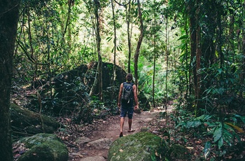 På vej gennem Mossman Gorge i Daintree National Park, Queensland