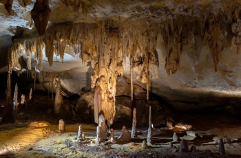 Alexandra Cave i Naracoorte Caves National Park, South Australia