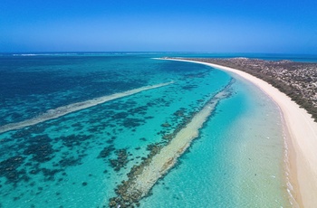 Luftfoto af Ningaloo Reef nord for Coral bay i Western Australia