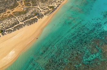 Luftfoto af Ningaloo Reef nord for Coral Bay i Western Australia