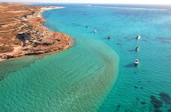 Turbåde ved Ningaloo Reef i Western Australia