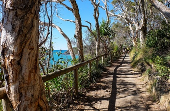 Vandresti langs kysten i Noosa National Park, Queensland 